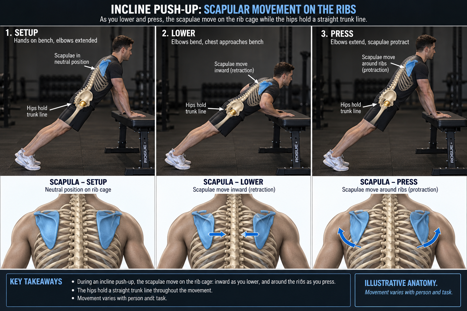 Three photographic anatomy-overlay stages of push