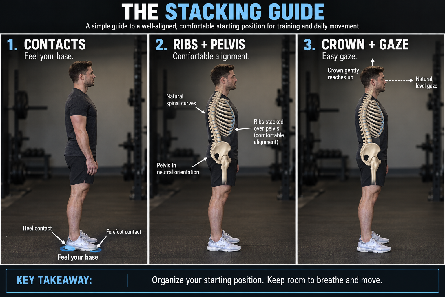 Three photographic standing references: feel foot contacts, organize ribs over pelvis, and let the crown float with an easy gaze. Illustrative skeletal overlays preserve natural spinal curves.