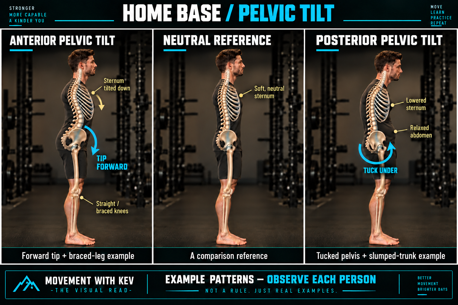 Three right-facing examples: anterior pelvic tilt with a forward-and-down arrow, increased lower-back curve, straight braced knees, and a downward-tilted sternum; a neutral reference with a relaxed chest and soft, neutral sternum; posterior pelvic tilt with an arrow scooping underneath the pelvis toward the front, a relaxed abdomen, and a lowered sternum.